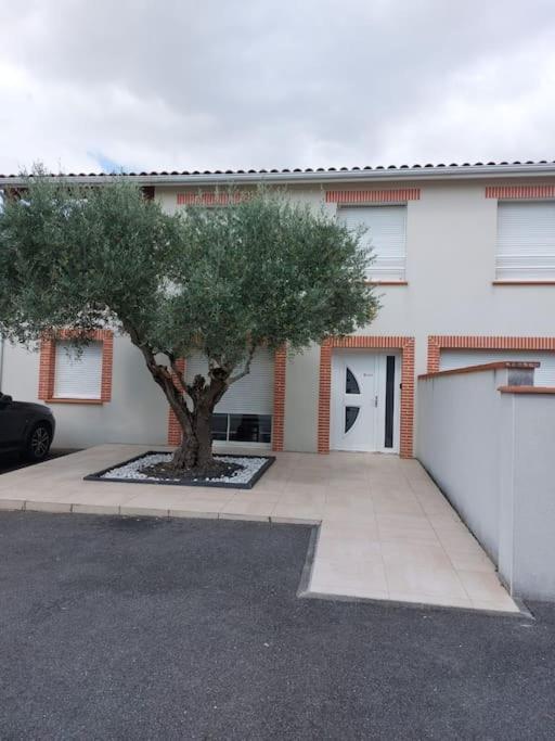 شقة T3 Climatise, Parking Et Jardin Quartier Des Marots A كولومييه المظهر الخارجي الصورة